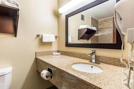 Red Roof Inn Plus+ & Suites Houston – Iah Airport Sw - 55