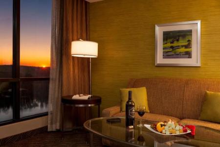 Holiday Inn Austin -Town Lake, An Ihg - 63