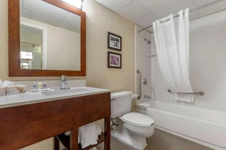 Comfort Inn Charlotte Airport Uptown - 43