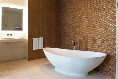 Radisson & Suites Amsterdam South - 10