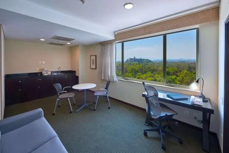 Wyndham Garden Mexico City - Polanco - 7
