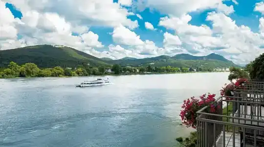 RheinDreesen - 113