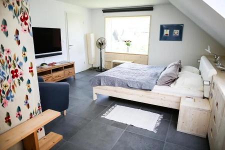 Eco Boutique Ams Beagle - 19