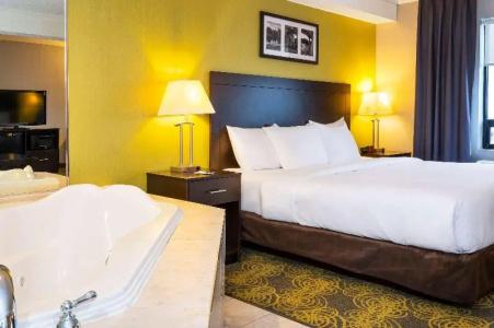 Comfort & Suites - 49