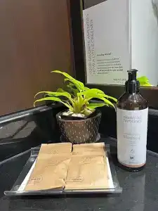Mercure Chiang Mai - Sha Extra Plus - 54