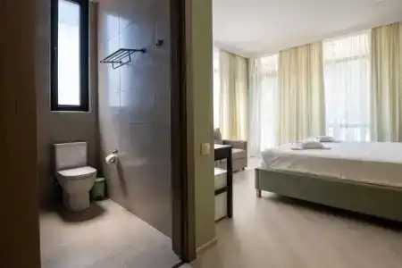 Buxus Shekvetili - 3
