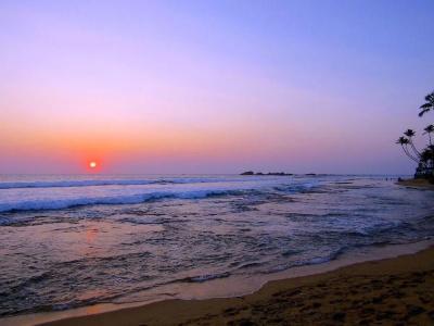 Amadeo Beach Resort - 11
