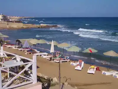 Elexus & Luxury Resort & Spa & Casino - 7
