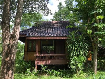 Baan Krating - Sha Plus - 79