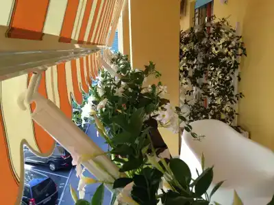 Al Parco Verde b&b - 5