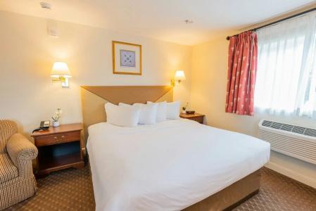 Senator Inn & Spa - 2