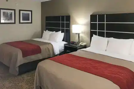 Comfort Inn - 6