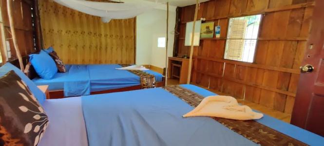 Dolphin Bay - 4