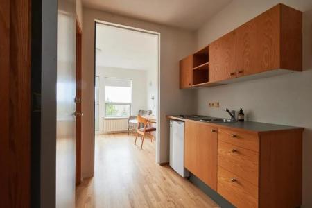 Solheimar Eco-Village - 83