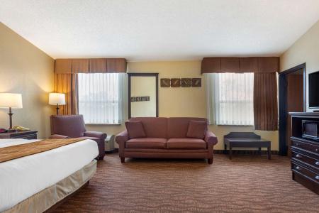 Comfort Inn at Thousand Hills - 63