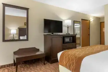 Comfort Inn at Thousand Hills - 37