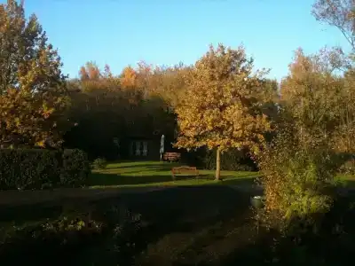 Restaurant Fischer - 9