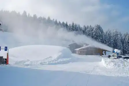 Alpengasthof Götschenalm - 12