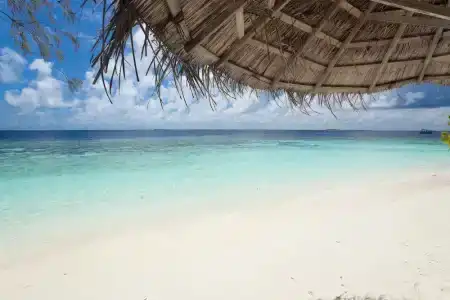 Bathala Island - 32