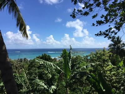 Lara's place - 73
