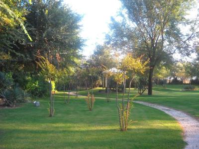 Camping Ca' Savio - 14
