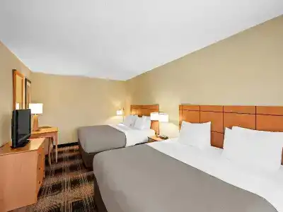 Quality Inn & Suites Airport - 60
