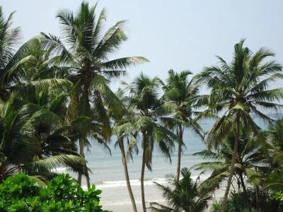 Chill Bay Weligama - 21