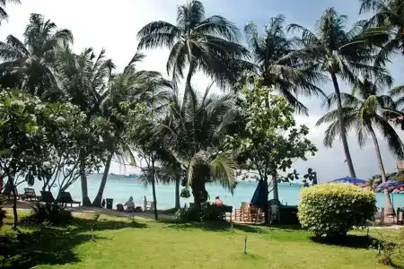Palm Leaf Resort Koh Tao - 13