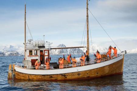 Fast Lofoten - 11