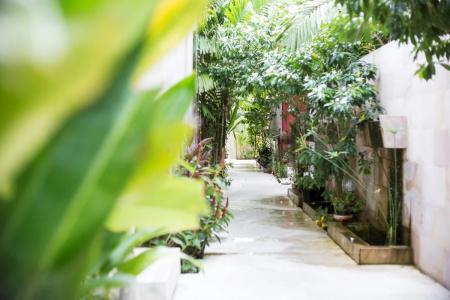 Avani Plus Samui Resort - Sha Extra Plus - 36
