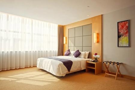 Dorsett Wuhan - 110
