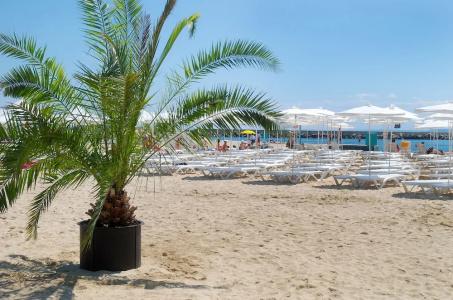 Dolphin All Inclusive - 27
