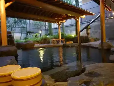 Yudanaka Tawaraya Ryokan - 8