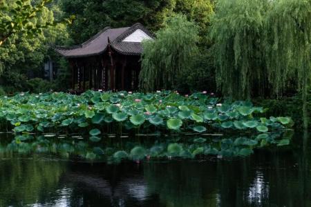 West Lake State Guest House - 78
