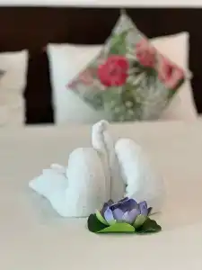 Kiwi Boutique - 32