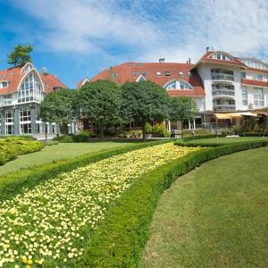 Mendan Magic Spa & Wellness - 39