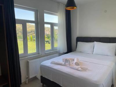 Parli - 91