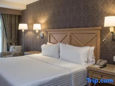 Holiday Inn Queretaro Centro Historico, An Ihg - 104
