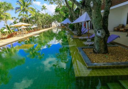 Pandanus Beach Resort & Spa - 41