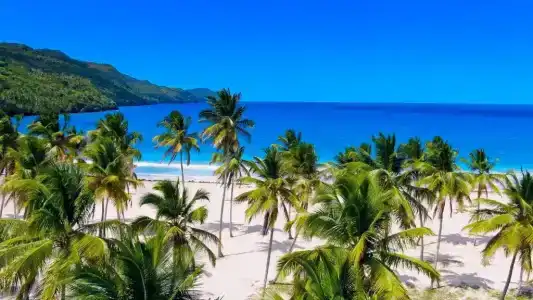 Paradiso del Caribe - 121