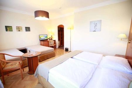 Merkur - Czech Leading Hotels - 32