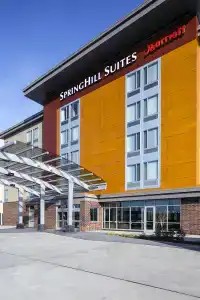 SpringHill Suites by Marriott - 1
