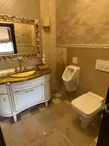 Полосухинский - 46