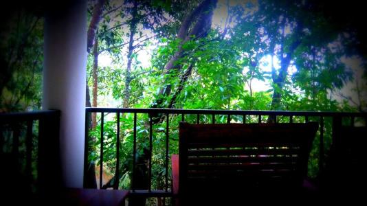 Samadhi Nature Resort - 3