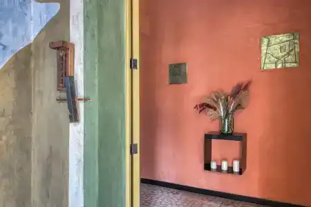Pug Seal Oaxaca - 16