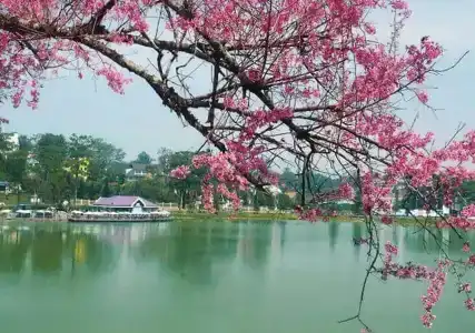 Khách sạn Liên Sơn - Đà Lạt - 13