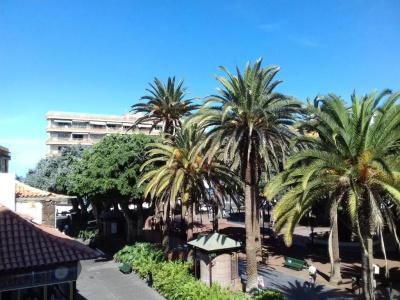 Tropical - 50