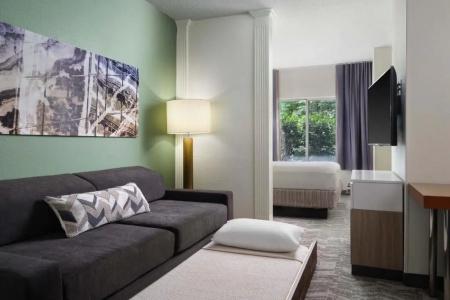 SpringHill Suites Nashville MetroCenter - 54