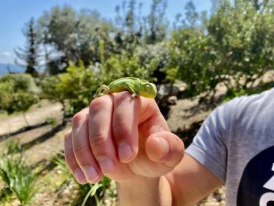 The Summer House - 29