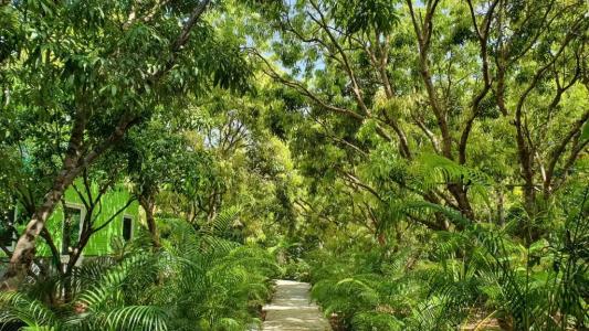 Warakorn Baansuan - 72